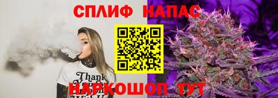 apvp Тулун