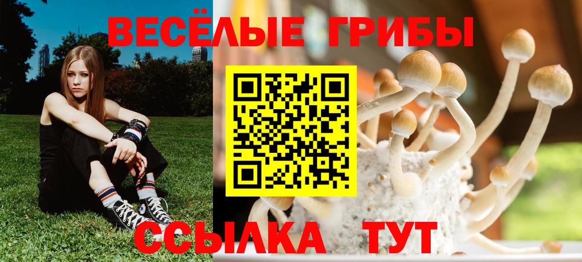 Псилоцибиновые грибы Psilocybe  Вход с VPN  Псилоцибиновые грибы Cubensis  наркота  Боровичи 