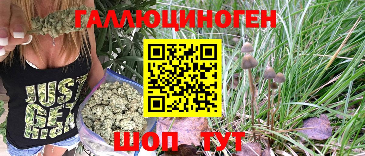Галлюциногенные грибы GOLDEN TEACHER Боровичи